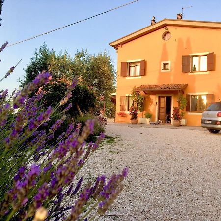 Locanda Della Lavanda Сан-Клементе Екстер'єр фото