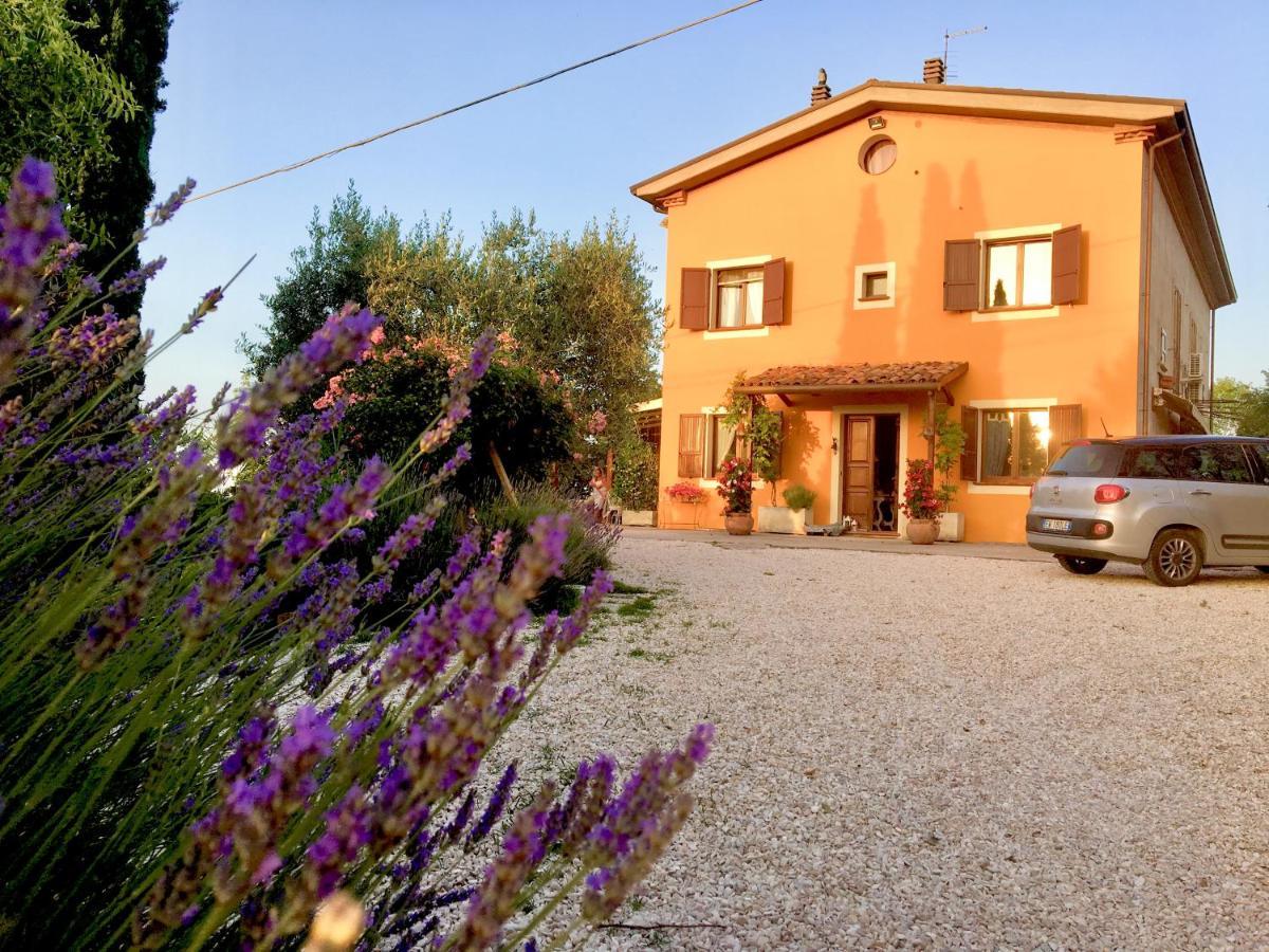 Locanda Della Lavanda Сан-Клементе Екстер'єр фото
